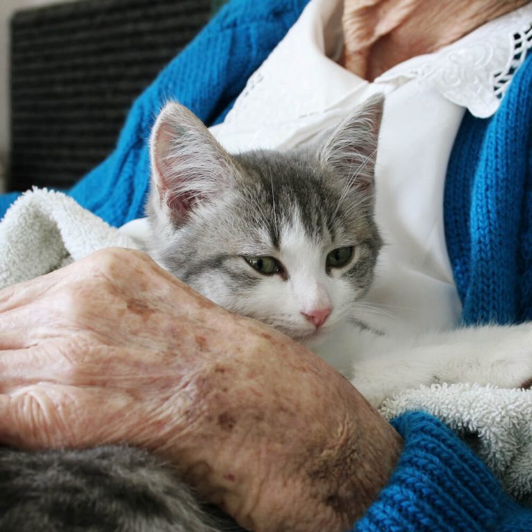 Pet Partner Program Me Not Rescue of Kern Bakersfield, CA